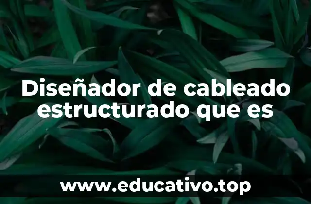Diseñador de cableado estructurado que es