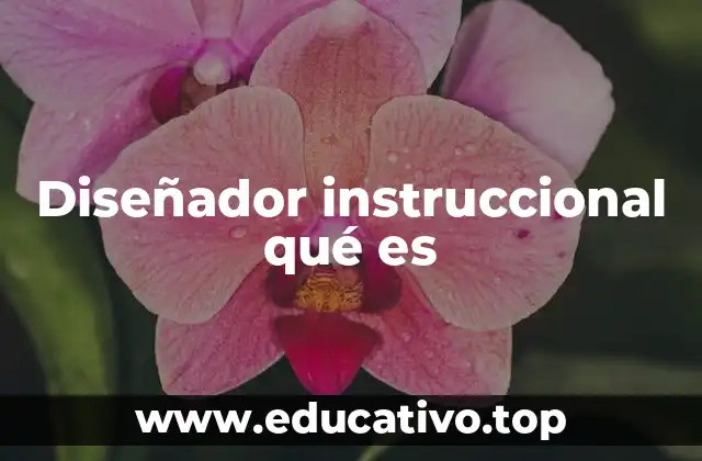 Diseñador instruccional qué es