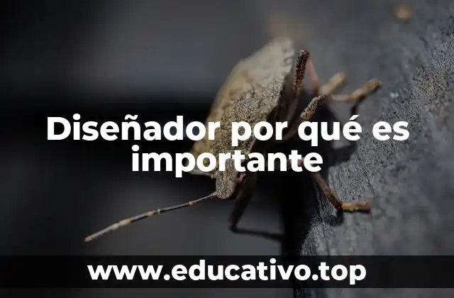 Diseñador por qué es importante