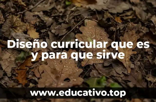 Diseño curricular que es y para que sirve