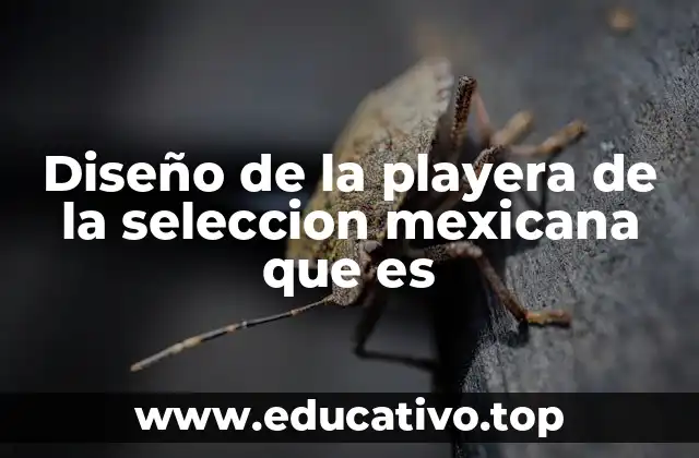 Diseño de la playera de la seleccion mexicana que es