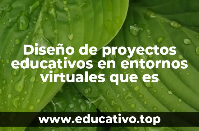 Diseño de proyectos educativos en entornos virtuales que es