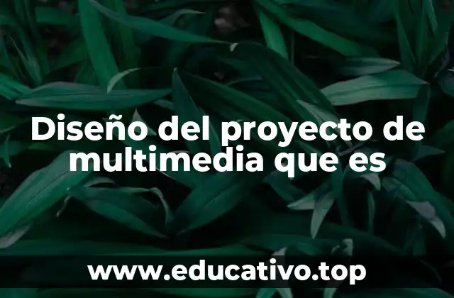 Diseño del proyecto de multimedia que es