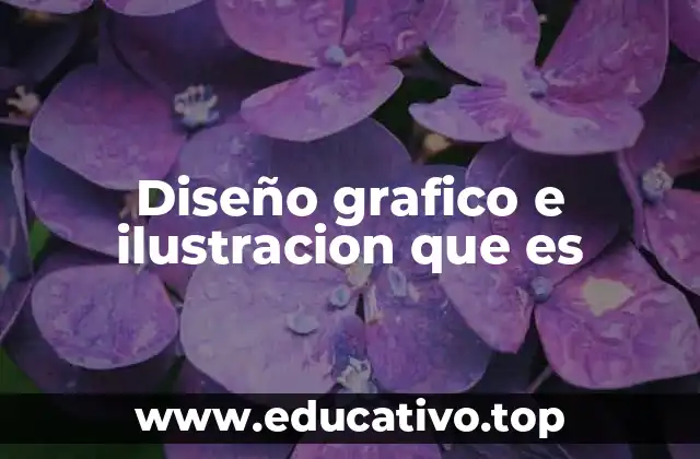 Diseño grafico e ilustracion que es