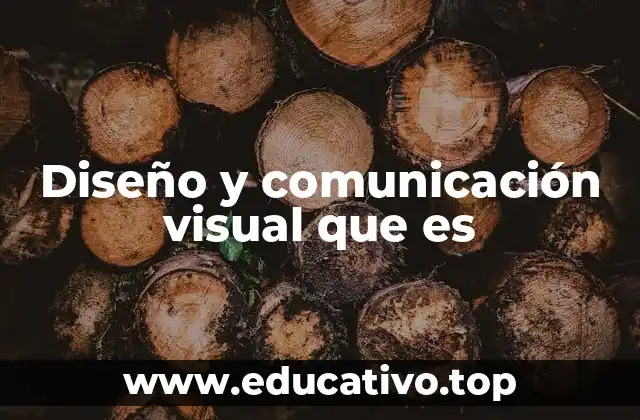 Diseño y comunicación visual que es