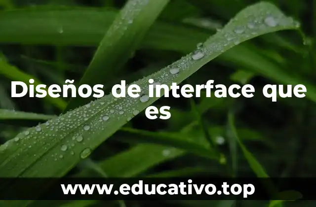 Diseños de interface que es