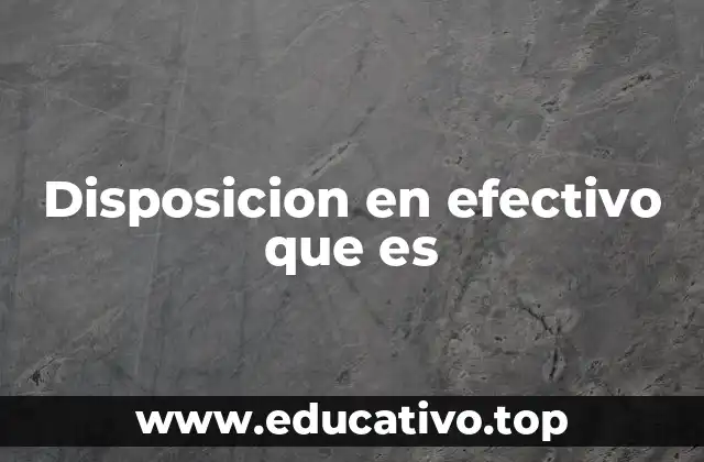 Disposicion en efectivo que es