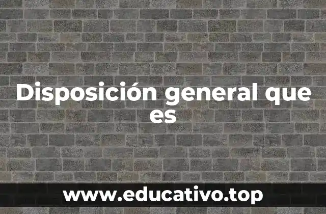 Disposición general que es