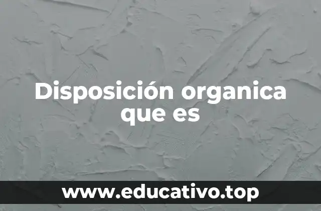 La importancia de las disposiciones orgánicas en la organización del Estado