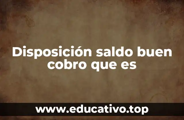 Disposición saldo buen cobro que es