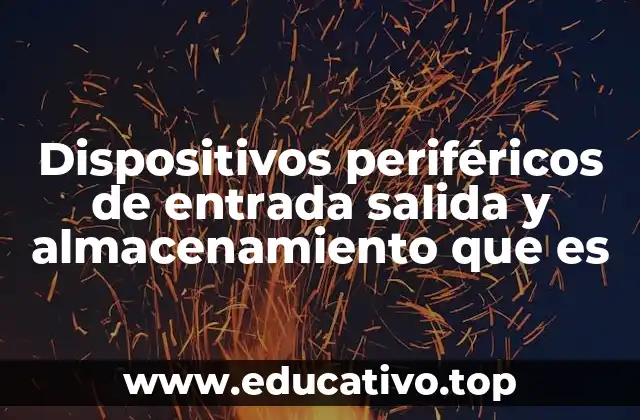 Dispositivos periféricos de entrada salida y almacenamiento que es