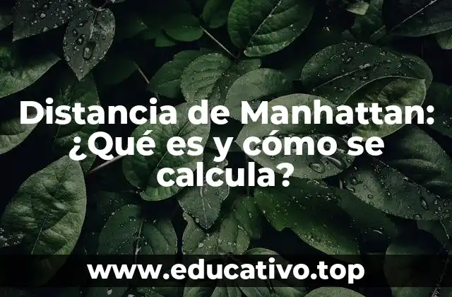 Distancia de Manhattan: ¿Qué es y cómo se calcula?