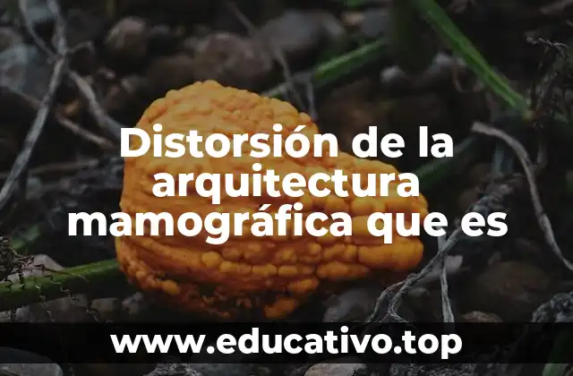 Distorsión de la arquitectura mamográfica que es