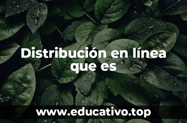 Distribución en línea que es
