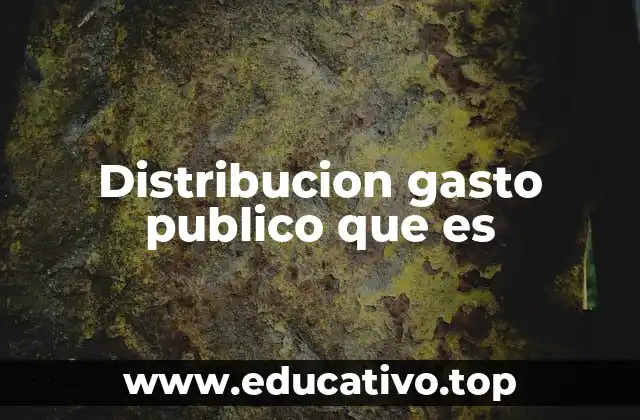Distribucion gasto publico que es