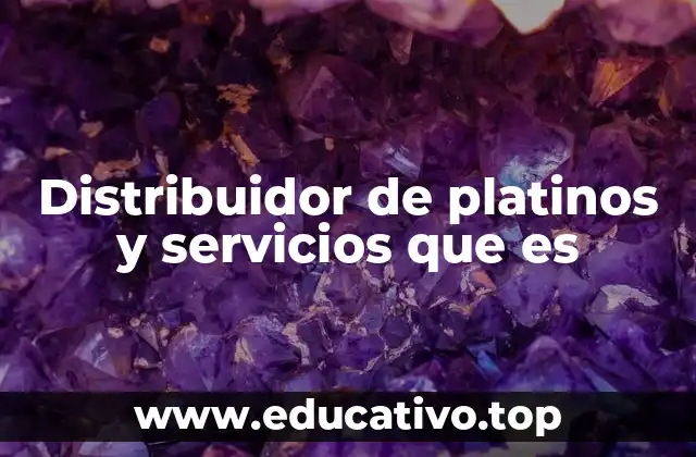 Distribuidor de platinos y servicios que es