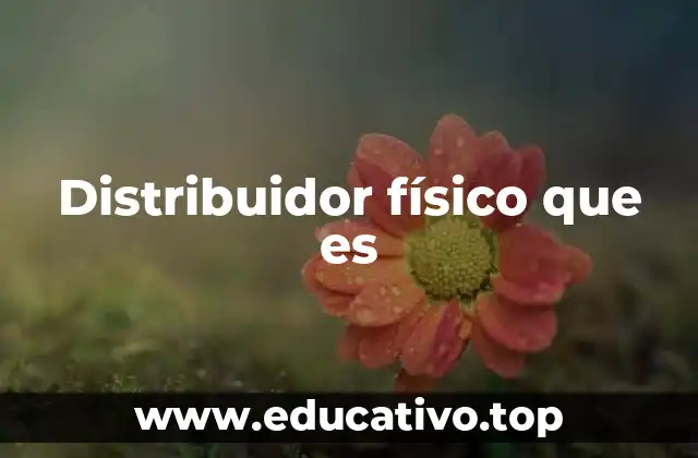 Distribuidor físico que es