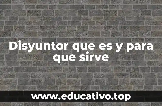 Disyuntor que es y para que sirve