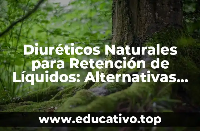 Diuréticos Naturales para Retención de Líquidos: Alternativas Saludables