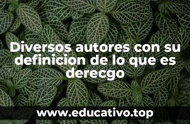 Diversos autores con su definicion de lo que es derecgo