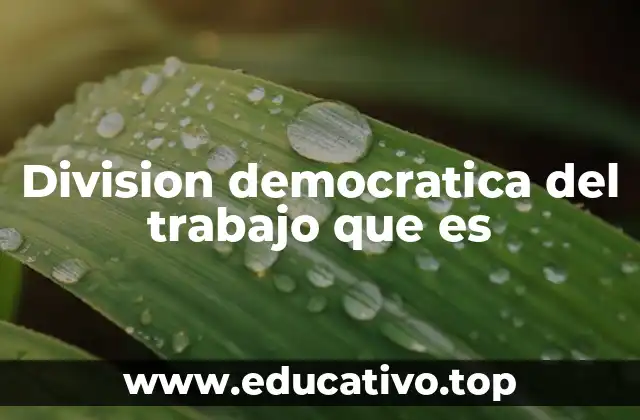 Division democratica del trabajo que es