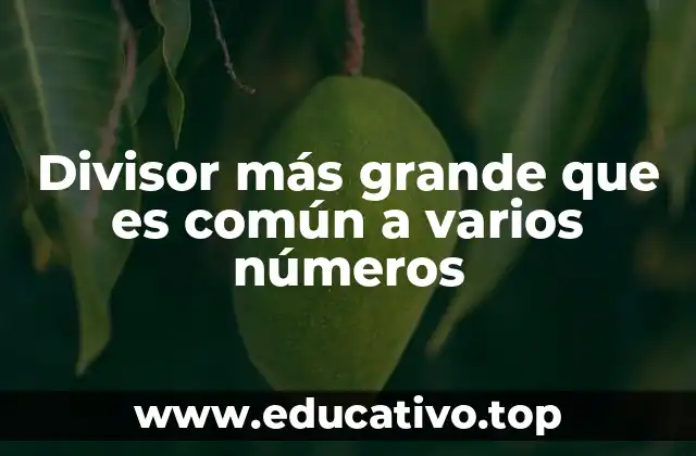 Divisor más grande que es común a varios números