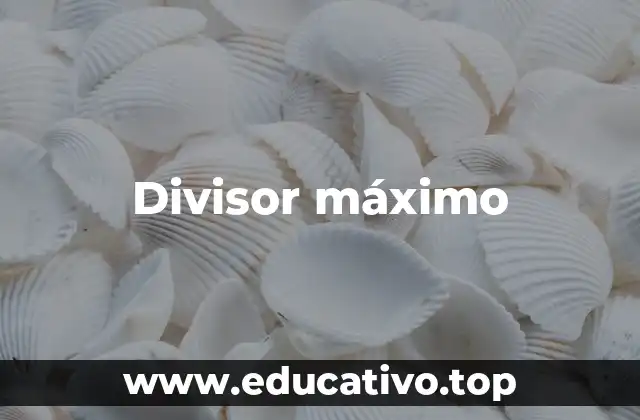 Divisor máximo