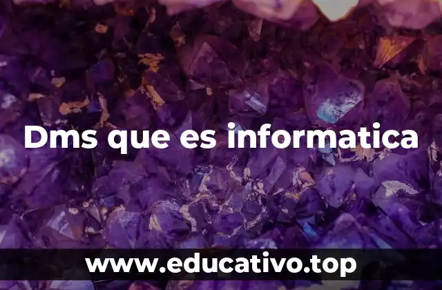 Dms que es informatica