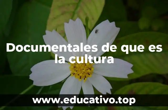 Documentales de que es la cultura