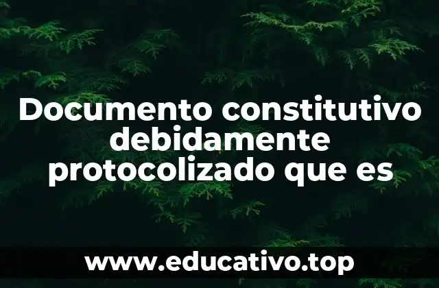 Documento constitutivo debidamente protocolizado que es