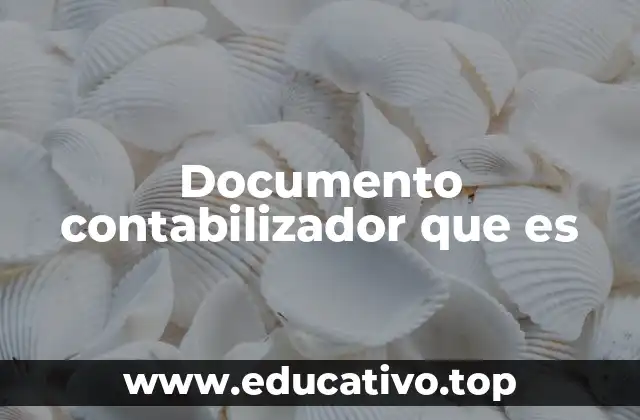 Documento contabilizador que es