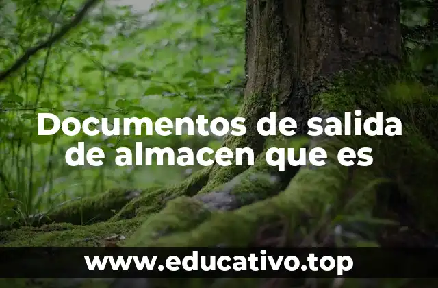 Documentos de salida de almacen que es