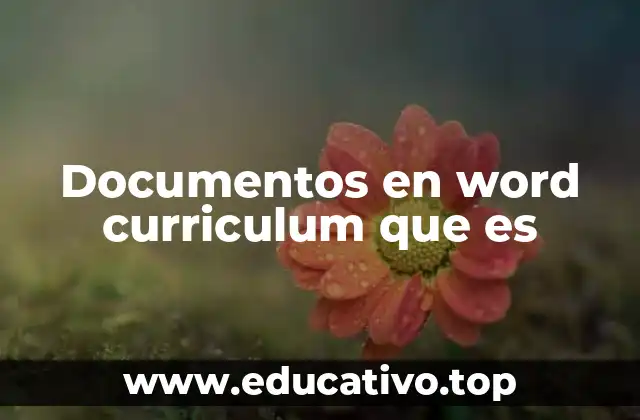 Documentos en word curriculum que es