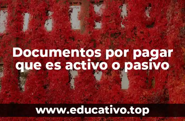 Documentos por pagar que es activo o pasivo