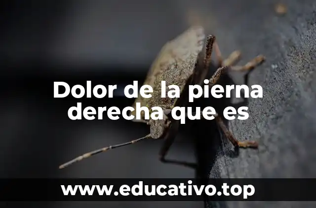 Causas comunes del dolor en la extremidad inferior derecha