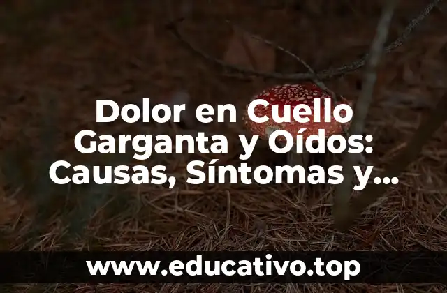 Dolor en Cuello Garganta y Oídos: Causas, Síntomas y Tratamientos