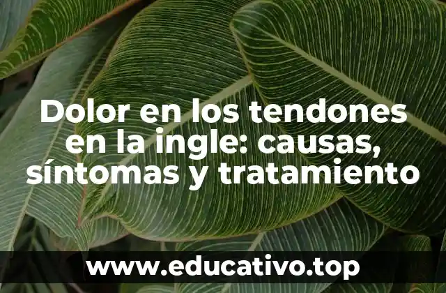 Dolor en los tendones en la ingle: causas, síntomas y tratamiento