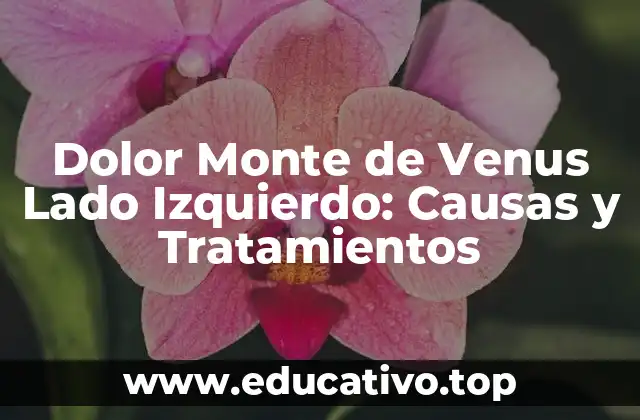 Dolor Monte de Venus Lado Izquierdo: Causas y Tratamientos
