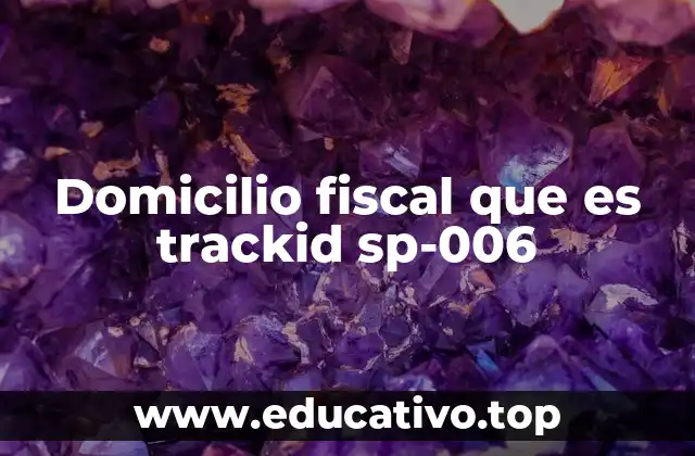 Domicilio fiscal que es trackid sp-006
