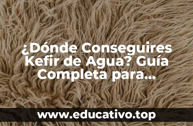 ¿Dónde Conseguires Kefir de Agua? Guía Completa para Encontrar este Probiótico Natural