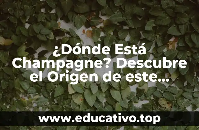¿Dónde Está Champagne? Descubre el Origen de este Famoso Vino Espumoso
