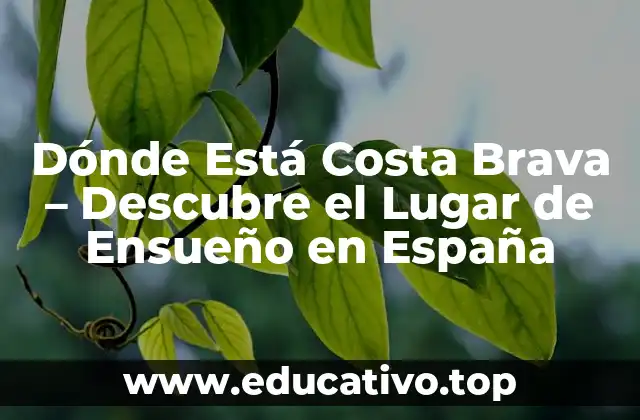 Dónde Está Costa Brava – Descubre el Lugar de Ensueño en España