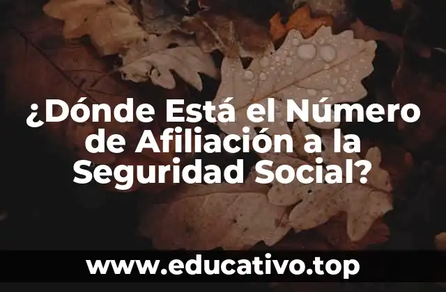 ¿Dónde Está el Número de Afiliación a la Seguridad Social?