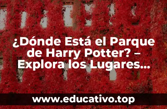¿Dónde Está el Parque de Harry Potter? – Explora los Lugares Mágicos