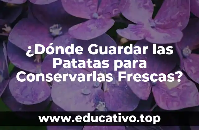 ¿Dónde Guardar las Patatas para Conservarlas Frescas?