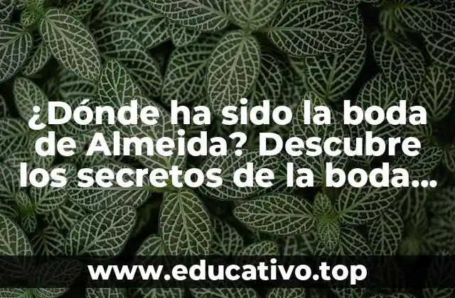 ¿Dónde ha sido la boda de Almeida? Descubre los secretos de la boda de la celebridad