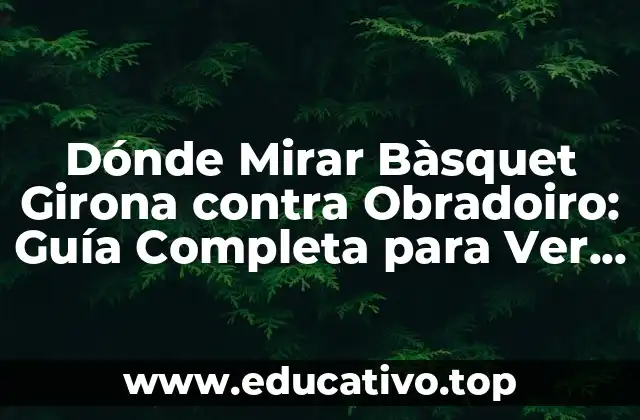 Dónde Mirar Bàsquet Girona contra Obradoiro: Guía Completa para Ver el Partido