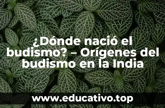 ¿Dónde nació el budismo? – Orígenes del budismo en la India