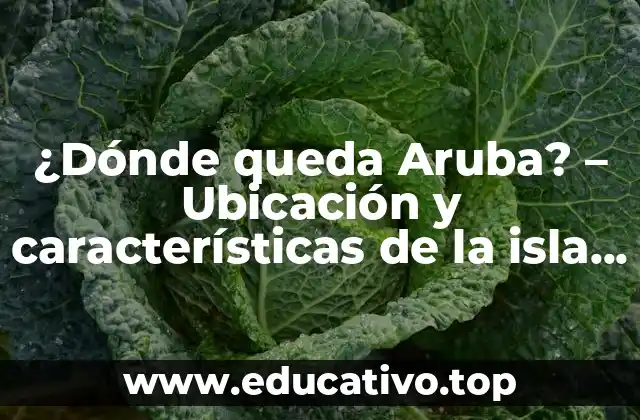 ¿Dónde queda Aruba? – Ubicación y características de la isla caribeña