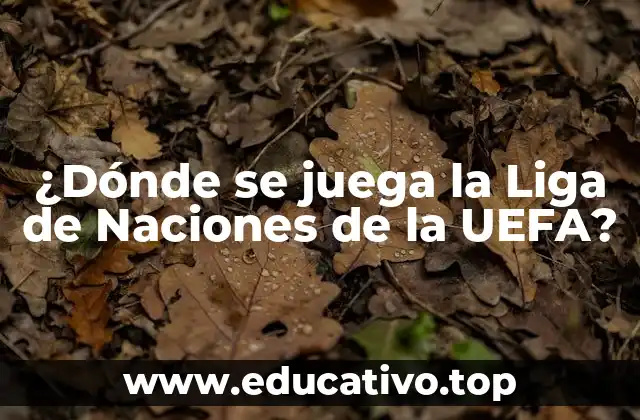 ¿Dónde se juega la Liga de Naciones de la UEFA?